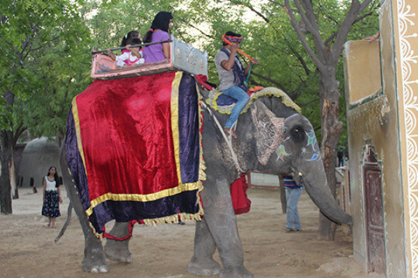 Elephant Ride