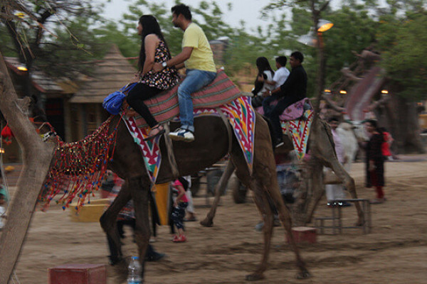 Camel ride