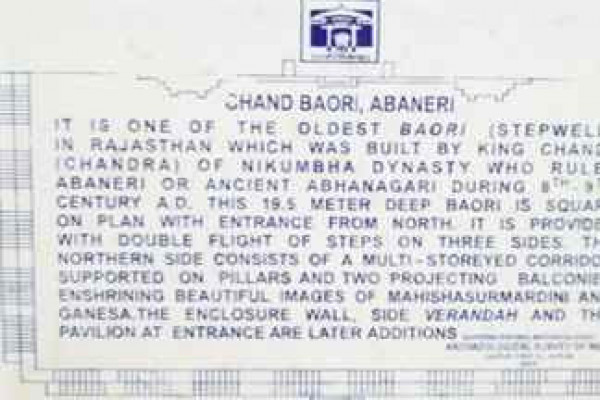 Chand Baori Private Tour