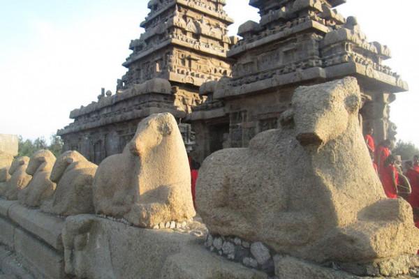 Mahabalipuram temple Chennai tour