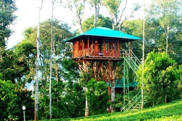 3-Night Kerala Tour: Tree House & Houseboat Stay