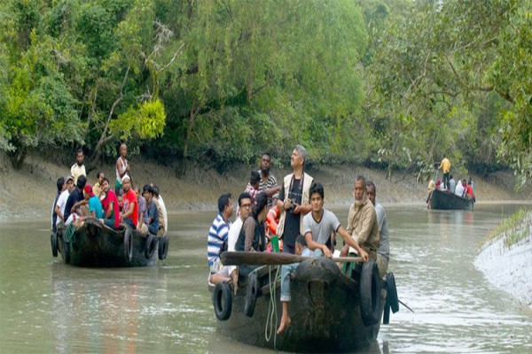 A Thrilling Jungle Safari at Sundarbans National Park 