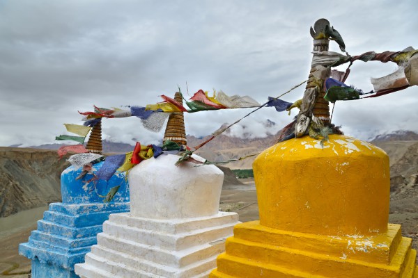 Himalayan Delights