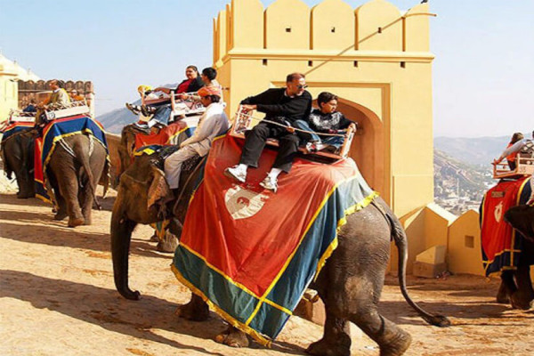 Elephant Ride Amer Fort Jaipur