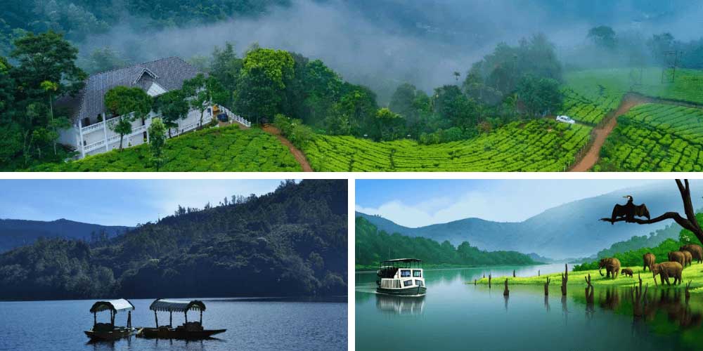 Munnar, Kerala